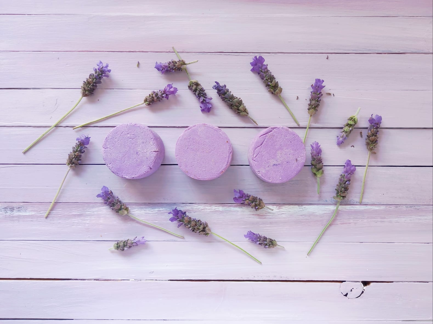 Shampoo sólido de Lavanda